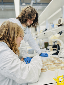 Studierende im Biologie-Labor.