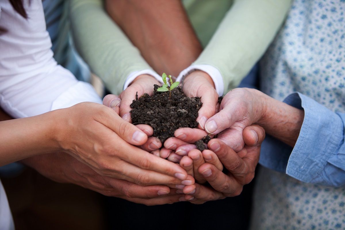 Plusieurs mains tiennent une jeune pousse dans un tas de terre (image symbole Seed Money)