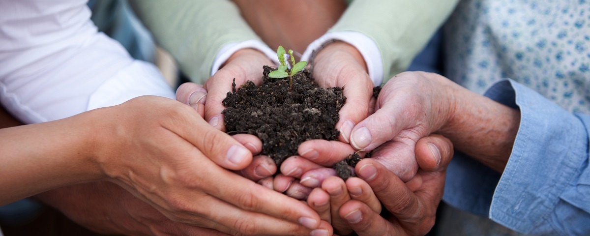 Several hands hold a young shoot in a pile of soil (Seed Money symbol image)