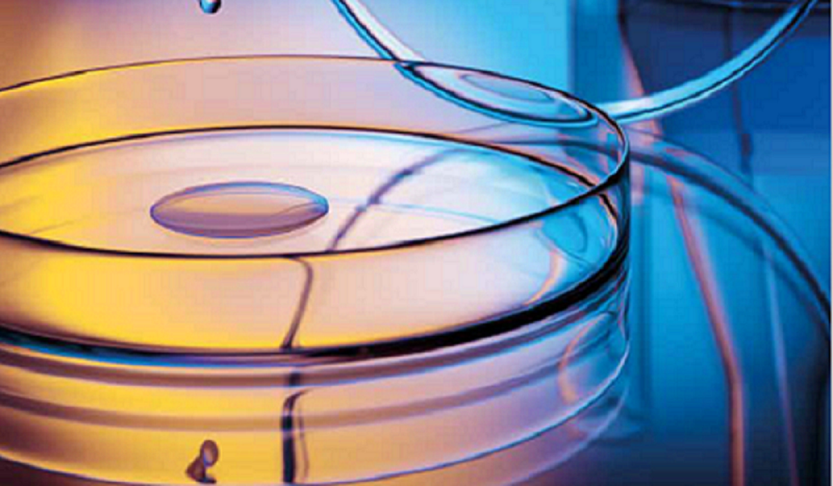 Boîte de Petri illustant l'Offensive Sciences