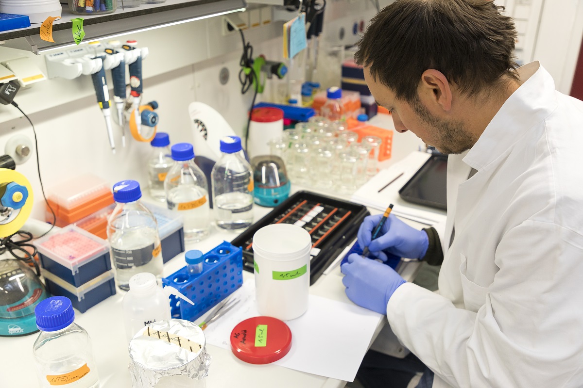 A laboratory in Freiburg